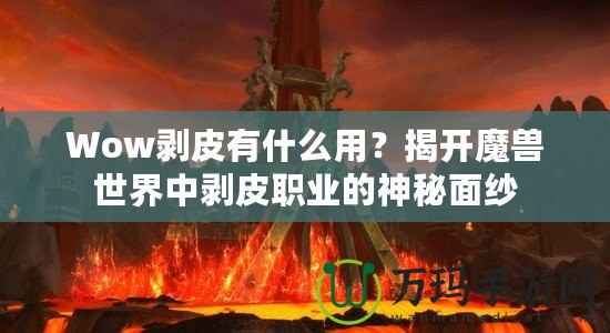 Wow剝皮有什么用？揭開魔獸世界中剝皮職業(yè)的神秘面紗