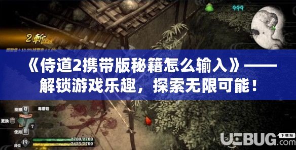 《侍道2攜帶版秘籍怎么輸入》——解鎖游戲樂(lè)趣，探索無(wú)限可能！