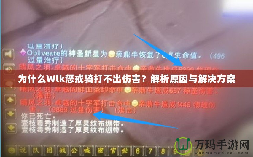 為什么Wlk懲戒騎打不出傷害？解析原因與解決方案