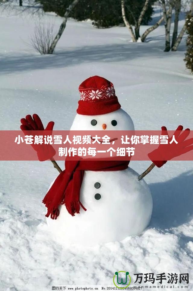 小蒼解說雪人視頻大全，讓你掌握雪人制作的每一個細節(jié)