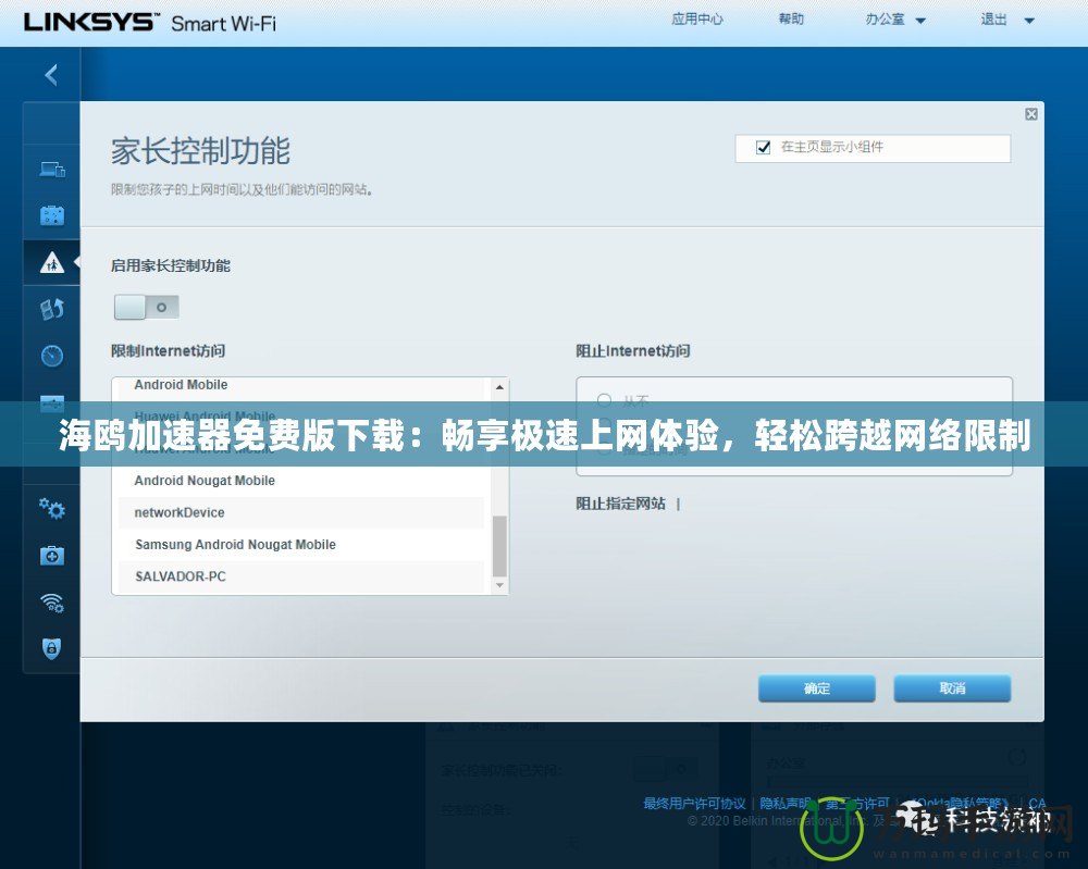 海鷗加速器免費版下載：暢享極速上網(wǎng)體驗，輕松跨越網(wǎng)絡限制