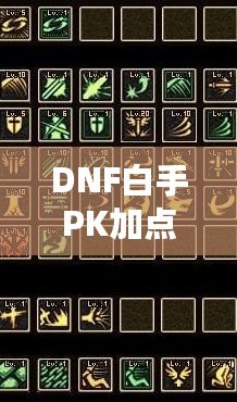 DNF白手PK加點(diǎn)攻略，玩轉(zhuǎn)高端戰(zhàn)斗，快速提高戰(zhàn)力！