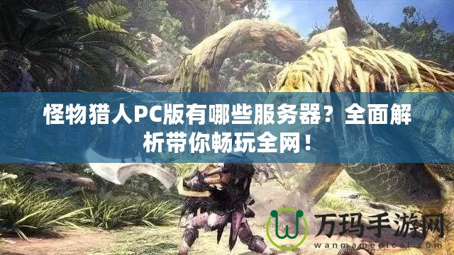 怪物獵人PC版有哪些服務(wù)器？全面解析帶你暢玩全網(wǎng)！