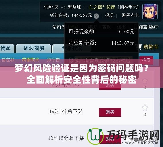 夢幻風(fēng)險驗證是因為密碼問題嗎？全面解析安全性背后的秘密
