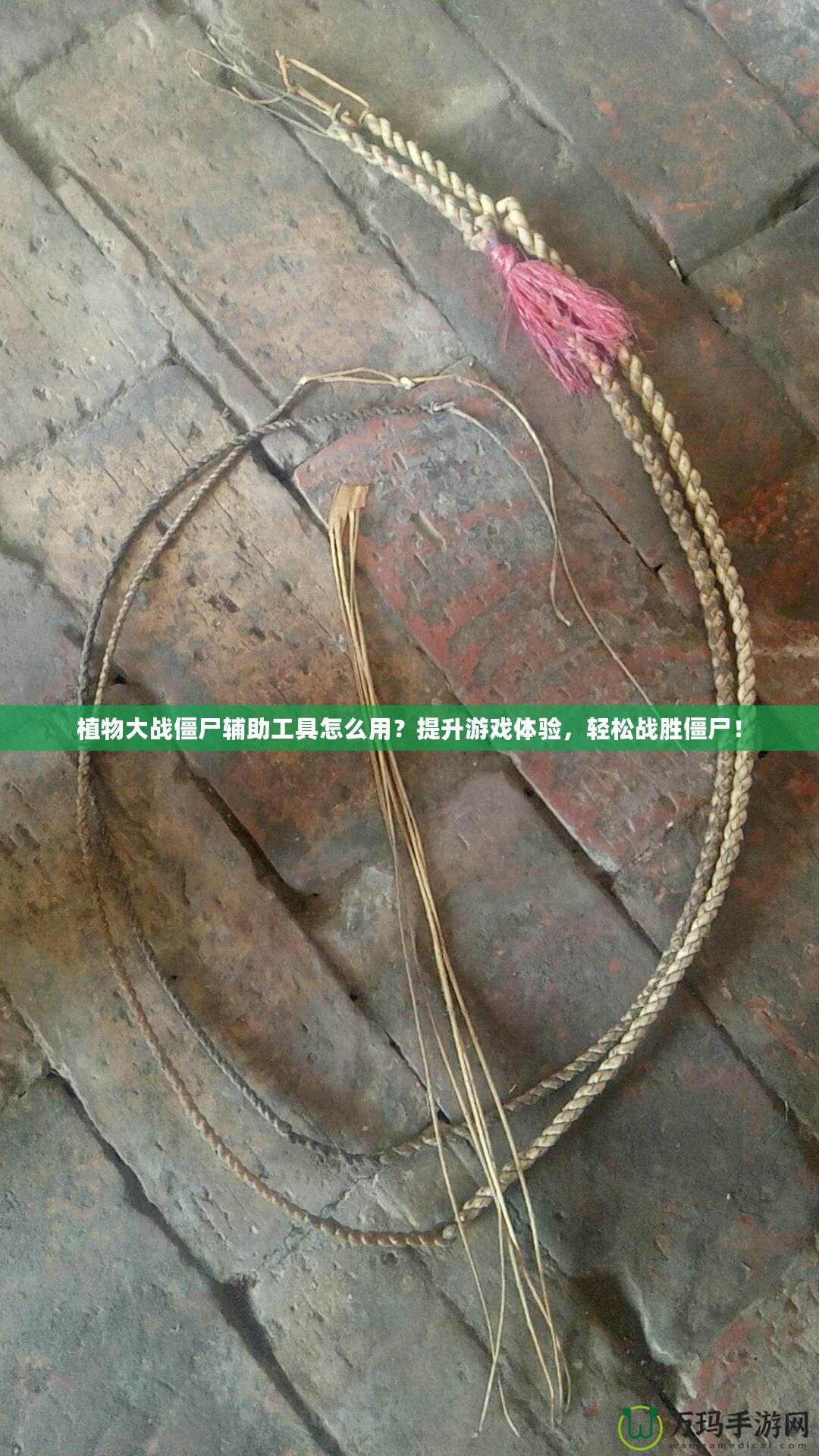 植物大戰(zhàn)僵尸輔助工具怎么用？提升游戲體驗，輕松戰(zhàn)勝僵尸！