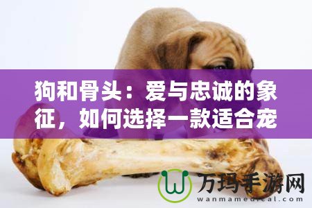 狗和骨頭：愛與忠誠的象征，如何選擇一款適合寵物的骨頭？