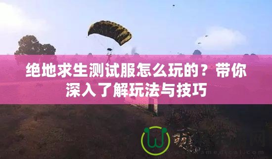 絕地求生測試服怎么玩的？帶你深入了解玩法與技巧