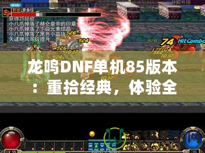 龍鳴DNF單機(jī)85版本：重拾經(jīng)典，體驗(yàn)全新戰(zhàn)斗快感