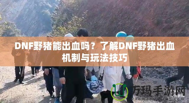 DNF野豬能出血嗎？了解DNF野豬出血機(jī)制與玩法技巧