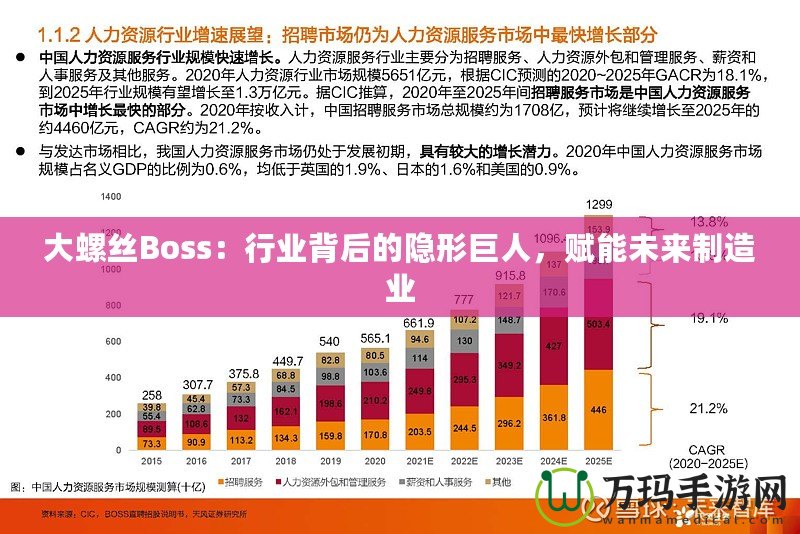 大螺絲Boss：行業(yè)背后的隱形巨人，賦能未來制造業(yè)