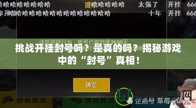 挑戰(zhàn)開掛封號嗎？是真的嗎？揭秘游戲中的“封號”真相！