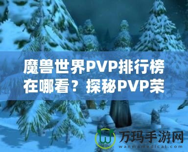 魔獸世界PVP排行榜在哪看？探秘PVP榮耀的捷徑！