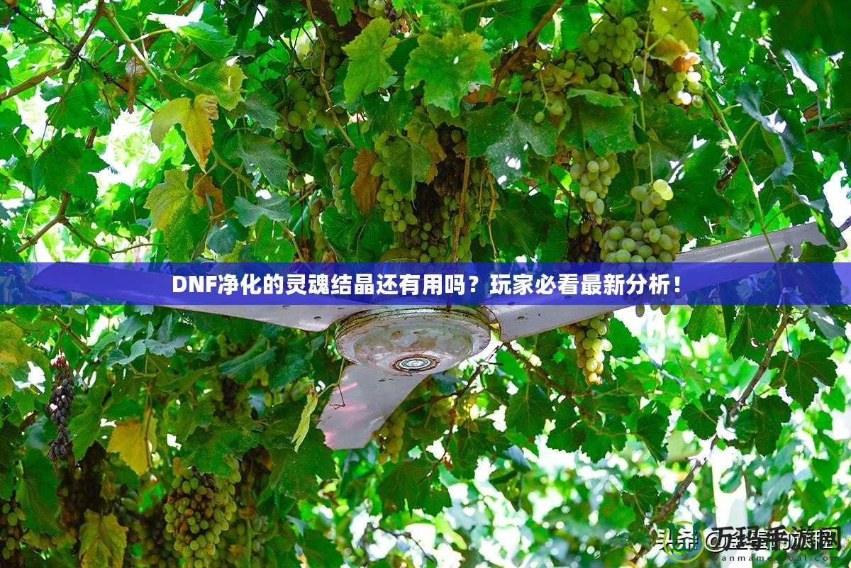 DNF凈化的靈魂結(jié)晶還有用嗎？玩家必看最新分析！