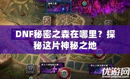 DNF秘密之森在哪里？探秘這片神秘之地