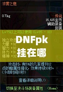 DNFpk掛在哪下載？教你如何安全、快速地獲取最強PK輔助！