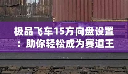 極品飛車15方向盤設(shè)置：助你輕松成為賽道王者的必備技巧