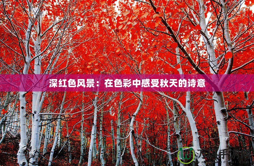 深紅色風(fēng)景：在色彩中感受秋天的詩意