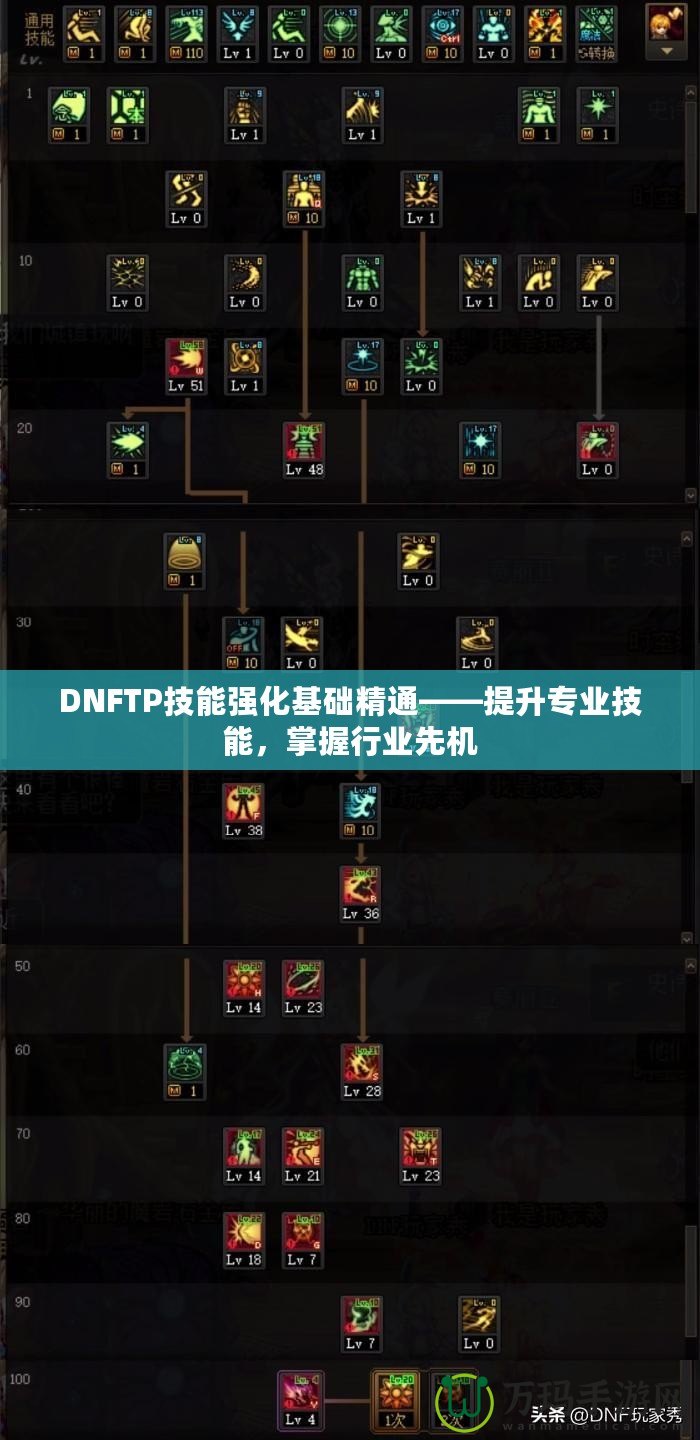 DNFTP技能強化基礎精通——提升專業(yè)技能，掌握行業(yè)先機