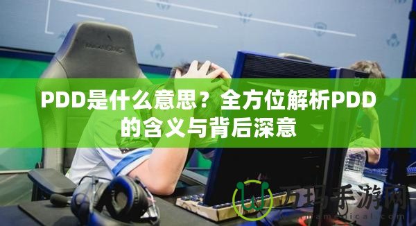 PDD是什么意思？全方位解析PDD的含義與背后深意