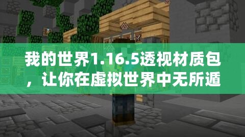 我的世界1.16.5透視材質(zhì)包，讓你在虛擬世界中無(wú)所遁形