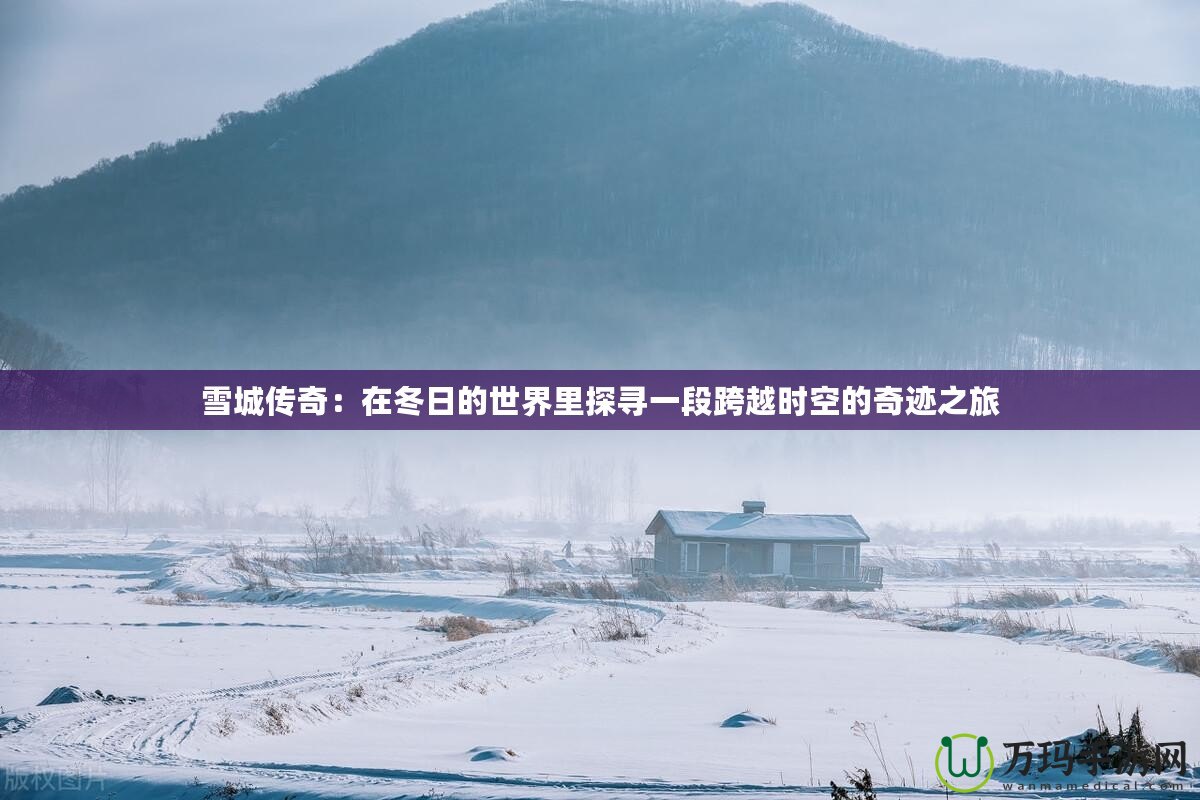 雪城傳奇：在冬日的世界里探尋一段跨越時(shí)空的奇跡之旅