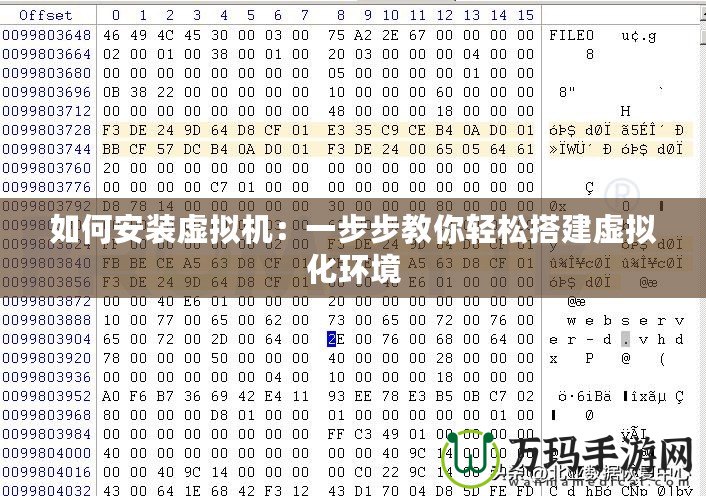 如何安裝虛擬機(jī)：一步步教你輕松搭建虛擬化環(huán)境