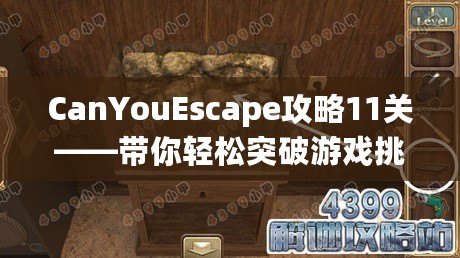 CanYouEscape攻略11關——帶你輕松突破游戲挑戰(zhàn)！