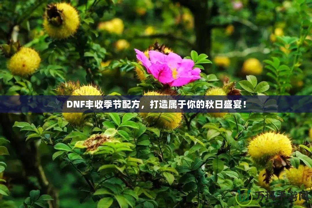 DNF豐收季節(jié)配方，打造屬于你的秋日盛宴！