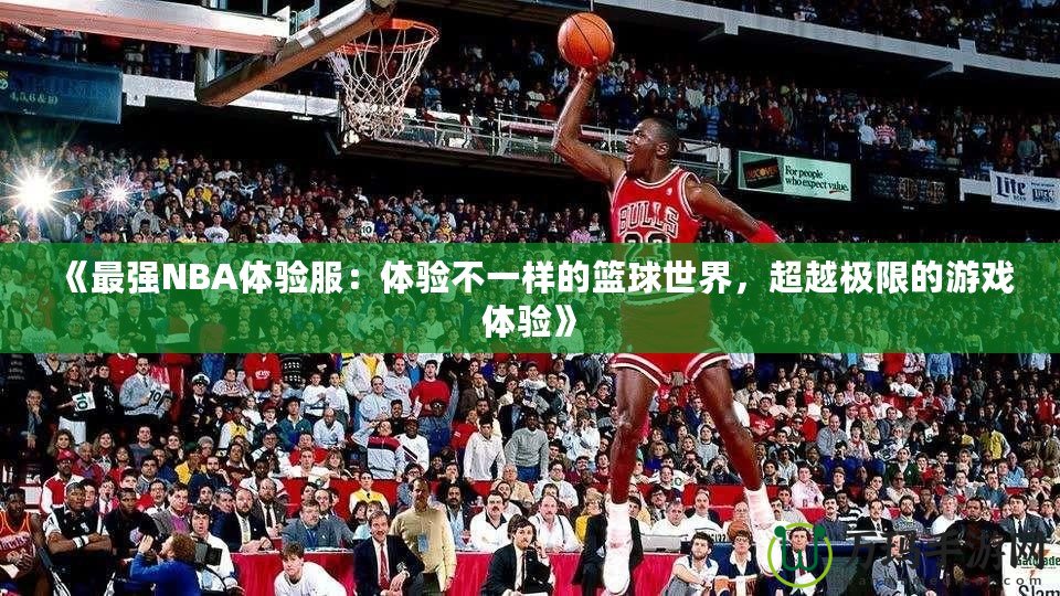 《最強(qiáng)NBA體驗(yàn)服：體驗(yàn)不一樣的籃球世界，超越極限的游戲體驗(yàn)》