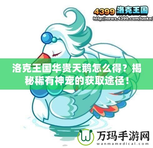 洛克王國(guó)華貴天鵝怎么得？揭秘稀有神寵的獲取途徑！