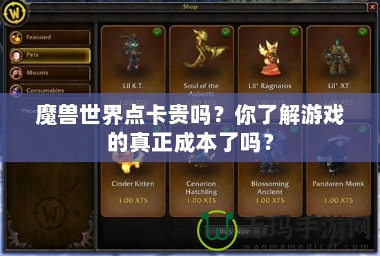 魔獸世界點卡貴嗎？你了解游戲的真正成本了嗎？