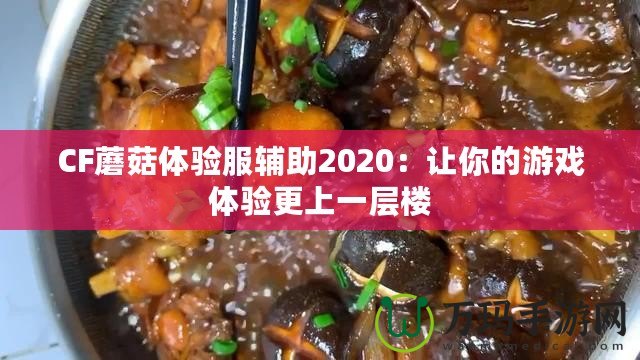 CF蘑菇體驗(yàn)服輔助2020：讓你的游戲體驗(yàn)更上一層樓