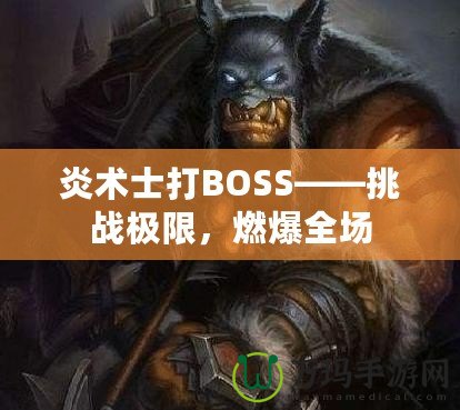 炎術(shù)士打BOSS——挑戰(zhàn)極限，燃爆全場