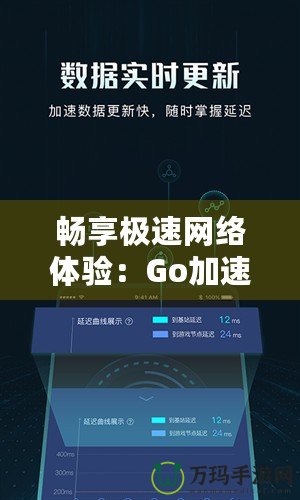 暢享極速網(wǎng)絡(luò)體驗(yàn)：Go加速器下載官網(wǎng)，解鎖全球網(wǎng)絡(luò)自由