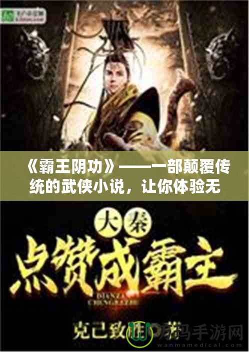 《霸王陰功》——一部顛覆傳統(tǒng)的武俠小說，讓你體驗(yàn)無與倫比的暗黑江湖