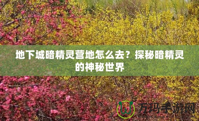 地下城暗精靈營(yíng)地怎么去？探秘暗精靈的神秘世界