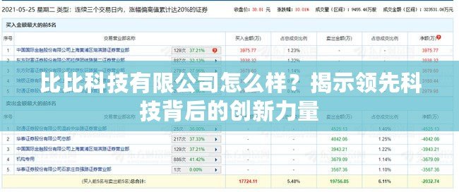 比比科技有限公司怎么樣？揭示領(lǐng)先科技背后的創(chuàng)新力量