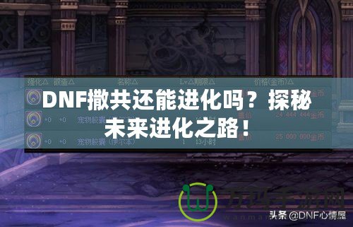 DNF撒共還能進(jìn)化嗎？探秘未來進(jìn)化之路！