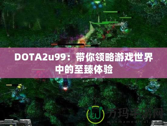 DOTA2u99：帶你領略游戲世界中的至臻體驗