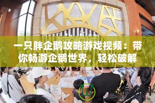 一只胖企鵝攻略游戲視頻：帶你暢游企鵝世界，輕松破解所有關(guān)卡！