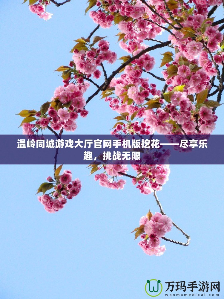 溫嶺同城游戲大廳官網(wǎng)手機(jī)版挖花——盡享樂趣，挑戰(zhàn)無限