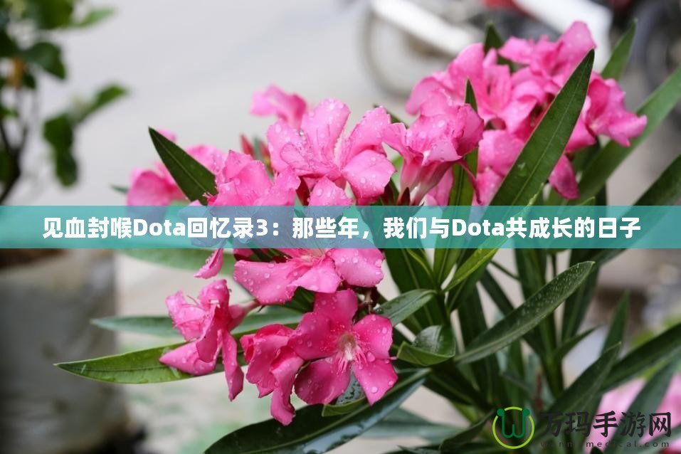 見血封喉Dota回憶錄3：那些年，我們與Dota共成長的日子