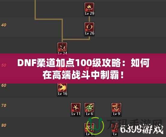 DNF柔道加點100級攻略：如何在高端戰(zhàn)斗中制霸！