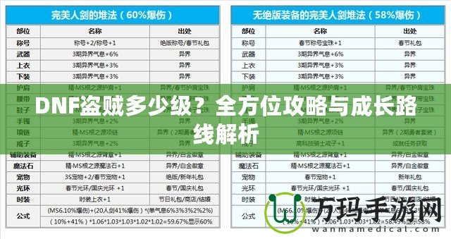 DNF盜賊多少級(jí)？全方位攻略與成長(zhǎng)路線解析